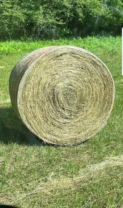 Hay bale in field