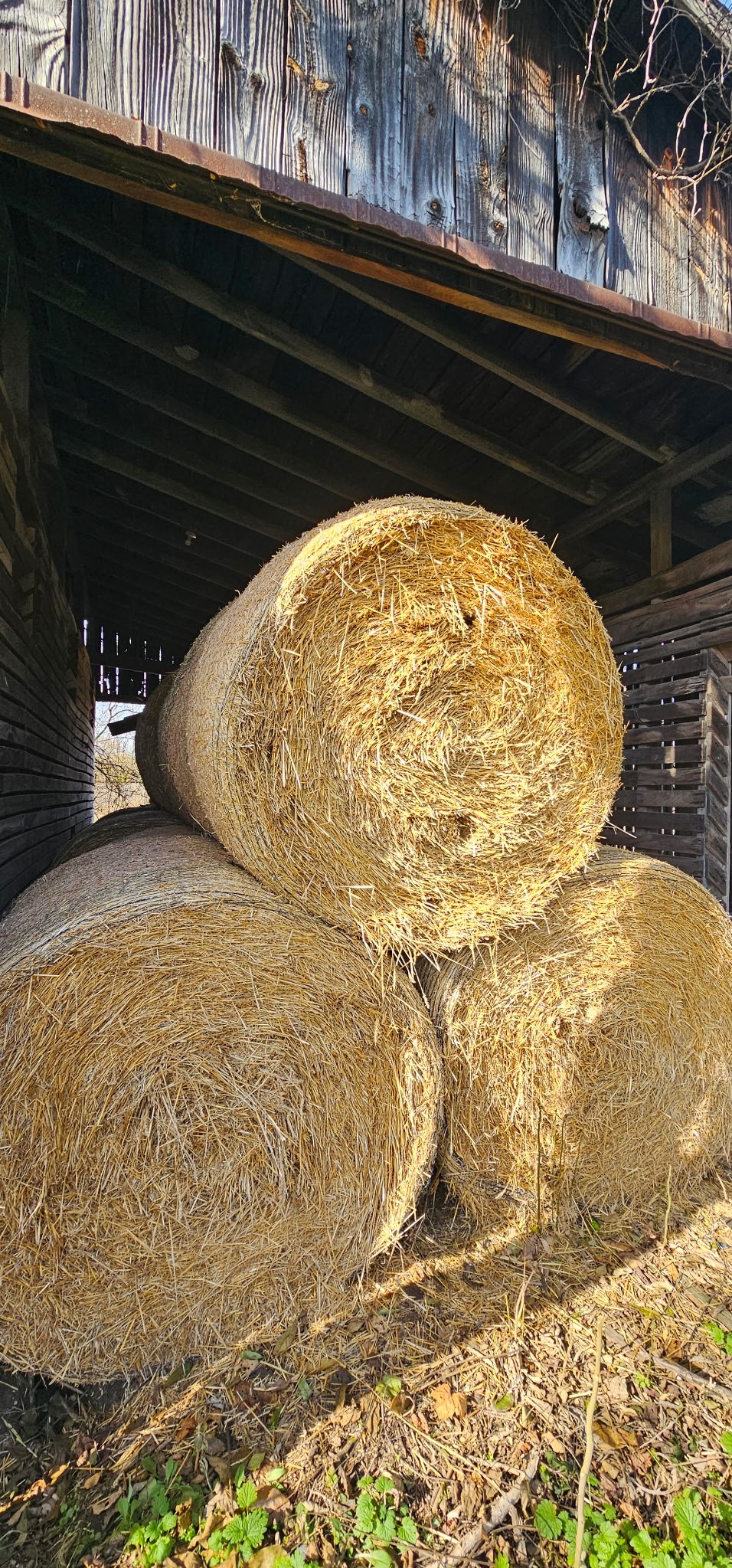 Straw bale rolls