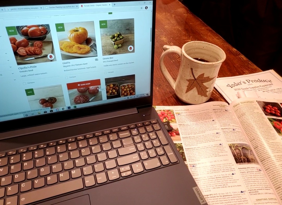 Seed Catalog, computer and coffee